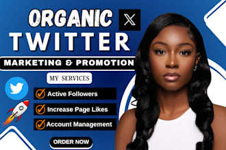 do x twitter marketing and organic promotion for real growth