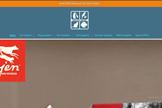 help you build and design your website and store