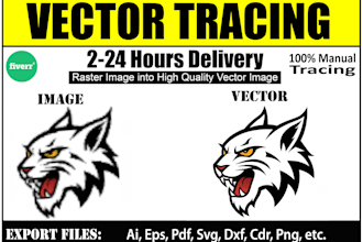 do vector tracing retrace, color changing of the logo, sketch, or any artwork