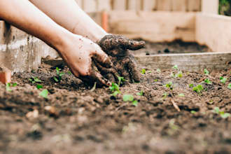 write quality articles about gardening
