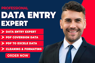 do personal virtual assistant, data entry, web research, and admin support work
