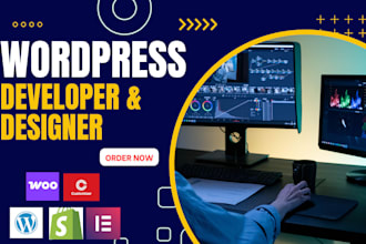 build responsive, dynamic, SEO optimized wordpress website