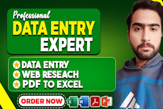 do data entry for ms excell, PDF to excel, excel to pdf,