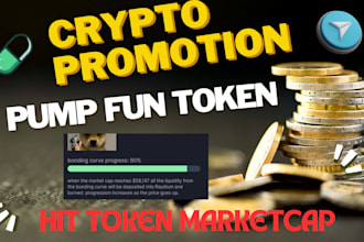 raise 700m mc, telegram promotion shoutout memecoin pump fun, hit 100k investors