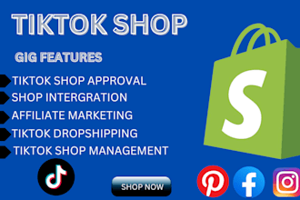 do tiktok promotion, tiktok marketing and social media manager