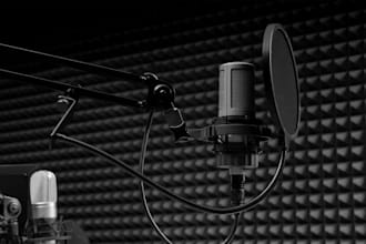 be your best female pop vocal, metal, latin, disco, celtic rnb across many genre