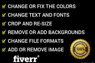 edit your logo design within 24 hrs