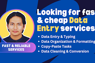 do fast and cheap data entry with spreadsheet and excel