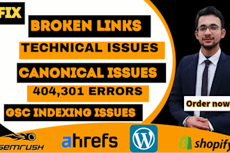 fix,404,301 ,broken links,gsc indexing issues, technical and canonical issues