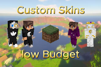 create you a custom mincraft skin of your choice