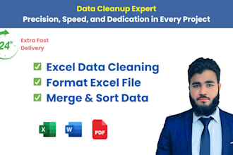 excel data cleanup, excel file reformatting, edit excel sheets