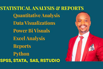 do quantitative statistical data analysis, visualizations, spss, power bi