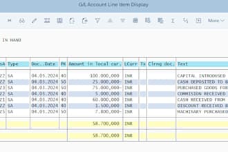 provide financial analysis and reporting for your business and assist sap fico