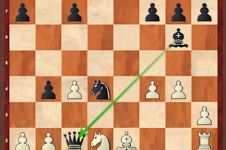 provide you quality chess lessons master your moves with national instructor