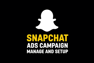 run and manage your snapchat ads campaign professionally