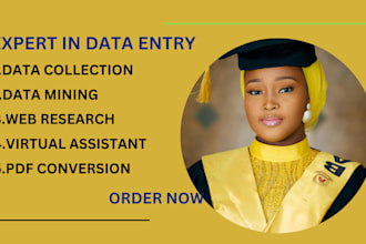 do expert data entry work