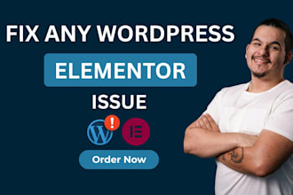 fix elementor bugs, wordpress issues, and layout issues