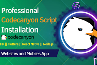 do install and customization your codecanyon script