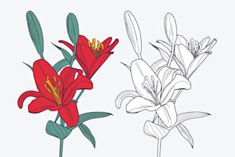 create amazing botanical vector line art illustration