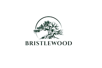 design exclusive consulting company logo