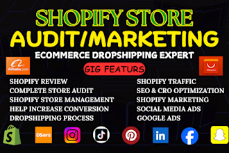 audit shopify website, optimize shopify store to boost shopify traffic