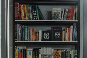 write quality literature,essay, analytical, persuasive,  critical analysis