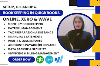 do setup clean up and bookkeeping in quickbooks online xero and wave