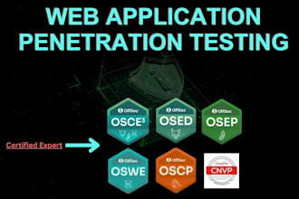 conduct penetration testing for web applications
