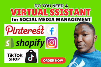 be your virtual assistant for instagram, tiktok, pinterest, facebook, shopify