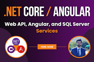 code asp net core web api and web application with angular