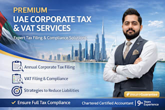 provide professional uae corporate tax and vat services