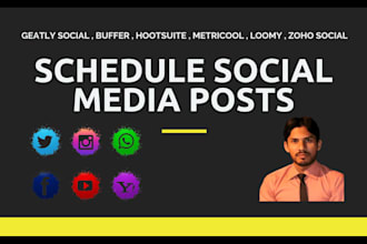 schedule social media posts professionally