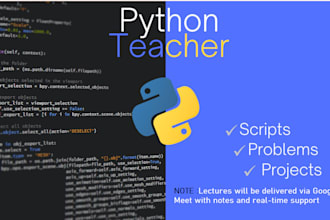 teach you python development coding and scripting