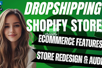 design redesign audit shopify dropshipping store increase shopify sales traffic
