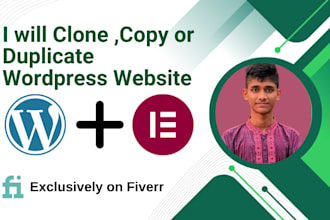 clone copy responsive wordpress website