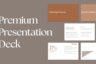 design a premium corporate presentation for you in indesign