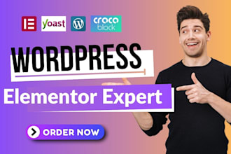 design and develop  wordpress website as an elementor expert