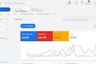set up strategies and optimize PPC google ads campaign towards revenue