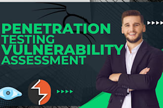 secure website and perform penetration testing with VA report