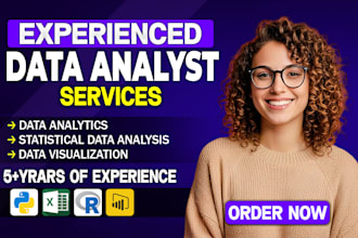 do statistical data analysis and data visualization projects in python, excel, r