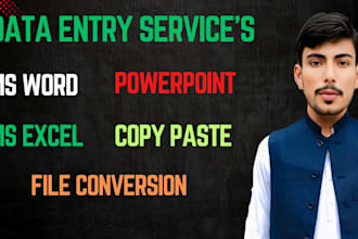 do data entry,ms word,excel,power point