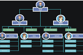 design flowcharts organizational charts and workflows