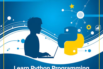 teach you python coding