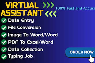 do file conversion,data entry,web scraping, research and typing job