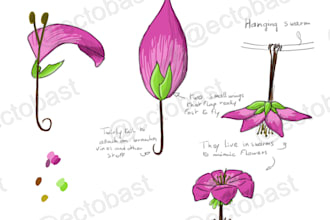 draw your creatures and help you develop them