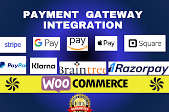 setup integrate configure stripe paypal klarna payment API in your website
