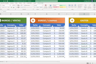 professional excel accounting system