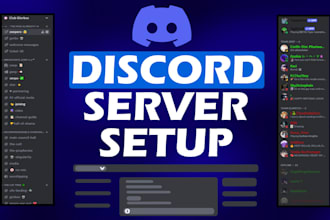 setup an organized discord server