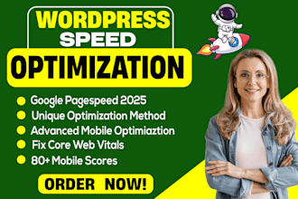 do wordpress speed optimization for google pagespeed insights
