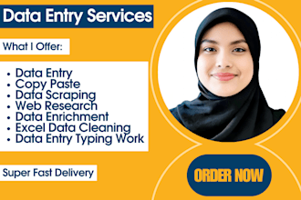 provide data entry and data enrichment solutions for you